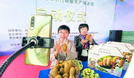 91直播一朵鲜花多少钱,一朵鲜花的价格揭秘